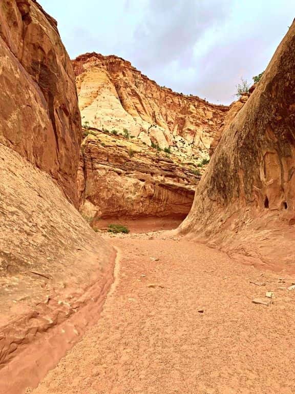 Capitol Gorge Trail