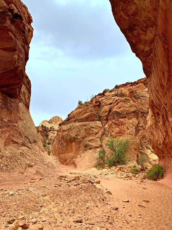 Capitol Gorge Trail