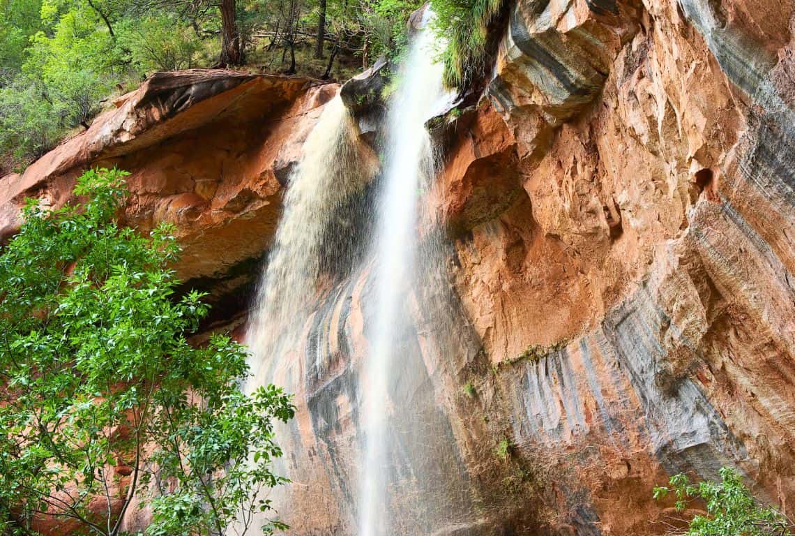 Scenic Hikes in Zion