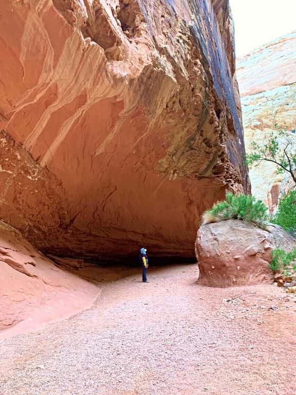 Utah National Parks: 7-Day Adventure Itinerary