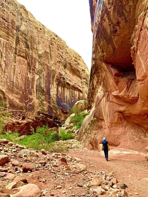 Road Trip Through Utah National Parks