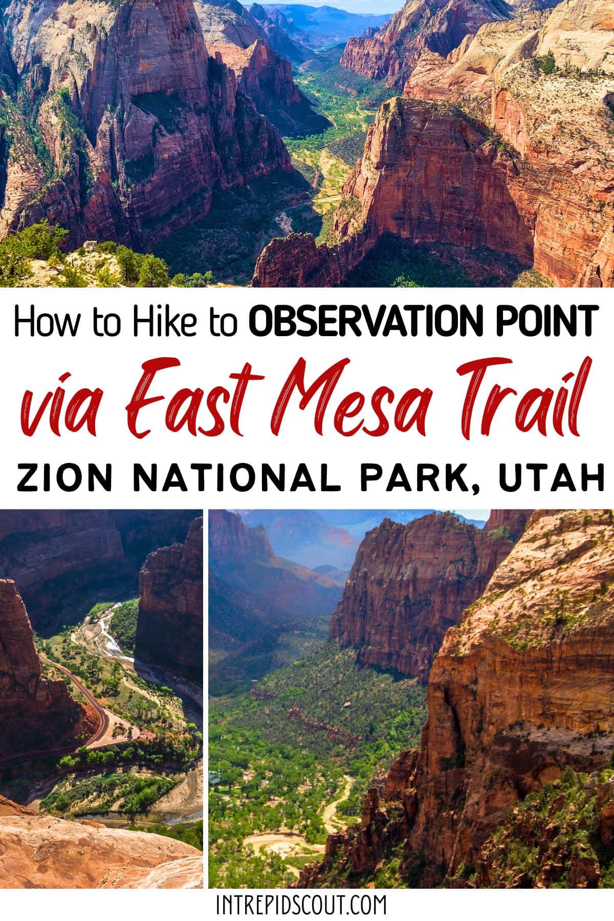 Hike to Observation Point via East Mesa Trail Hike to Observation Point via East Mesa Trail
