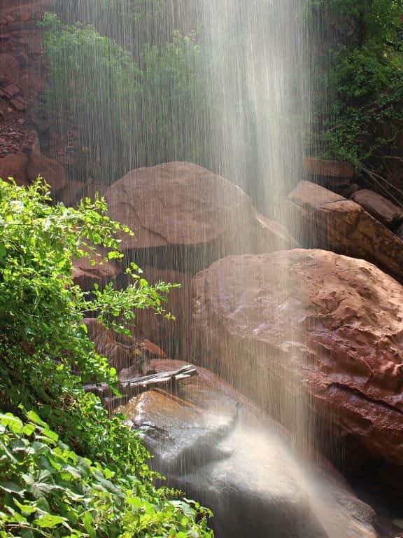 Easy Hikes in Zion