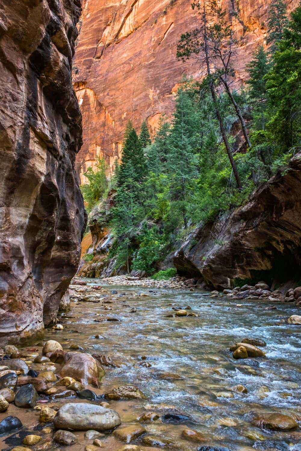 Tips for Hiking The Narrows