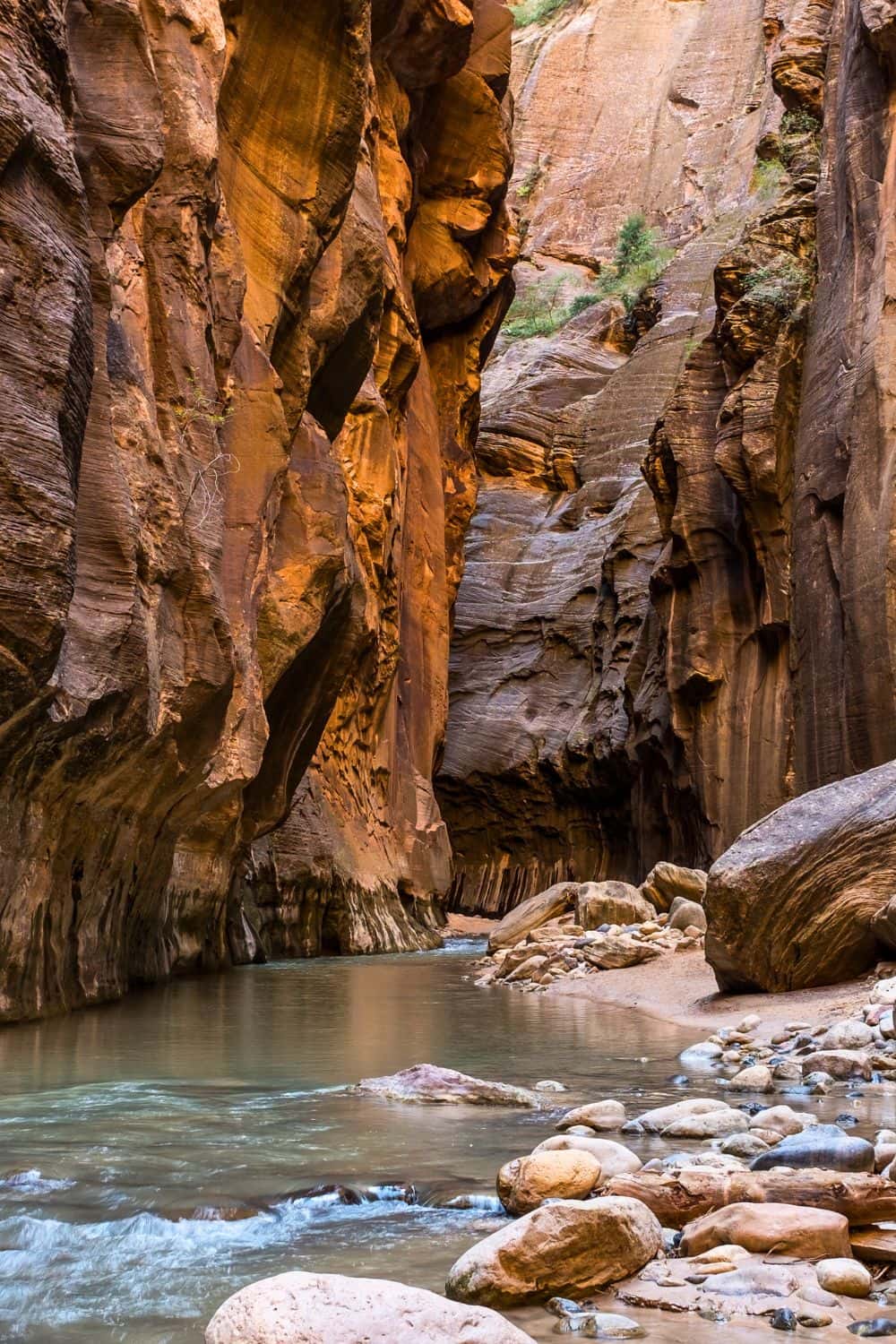 Tips for Hiking The Narrows