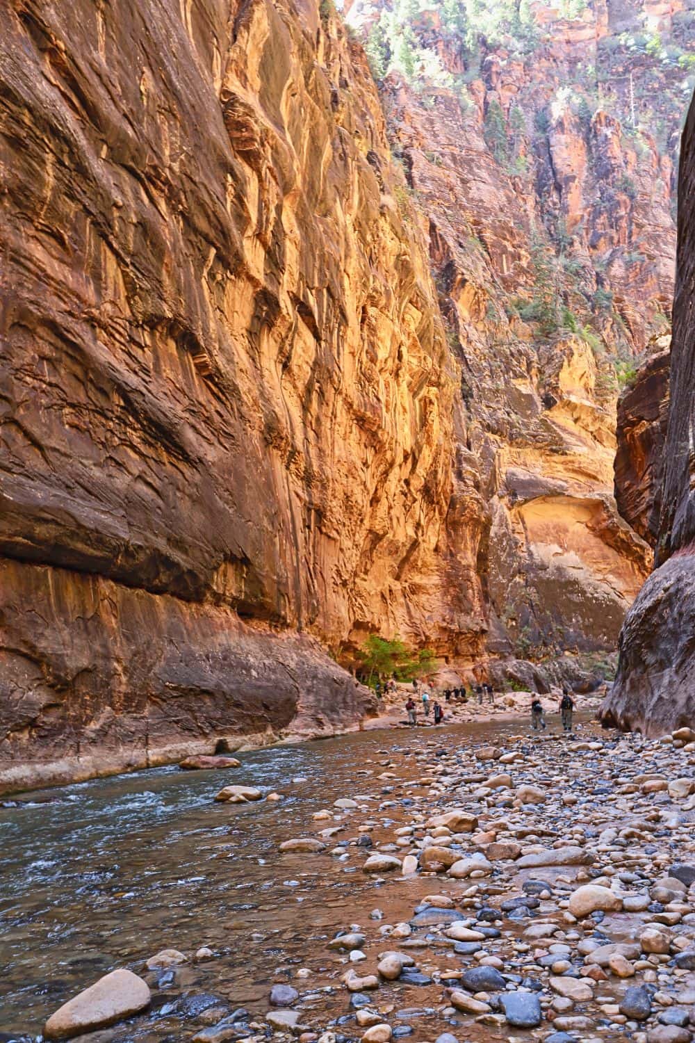 Zion Narrows