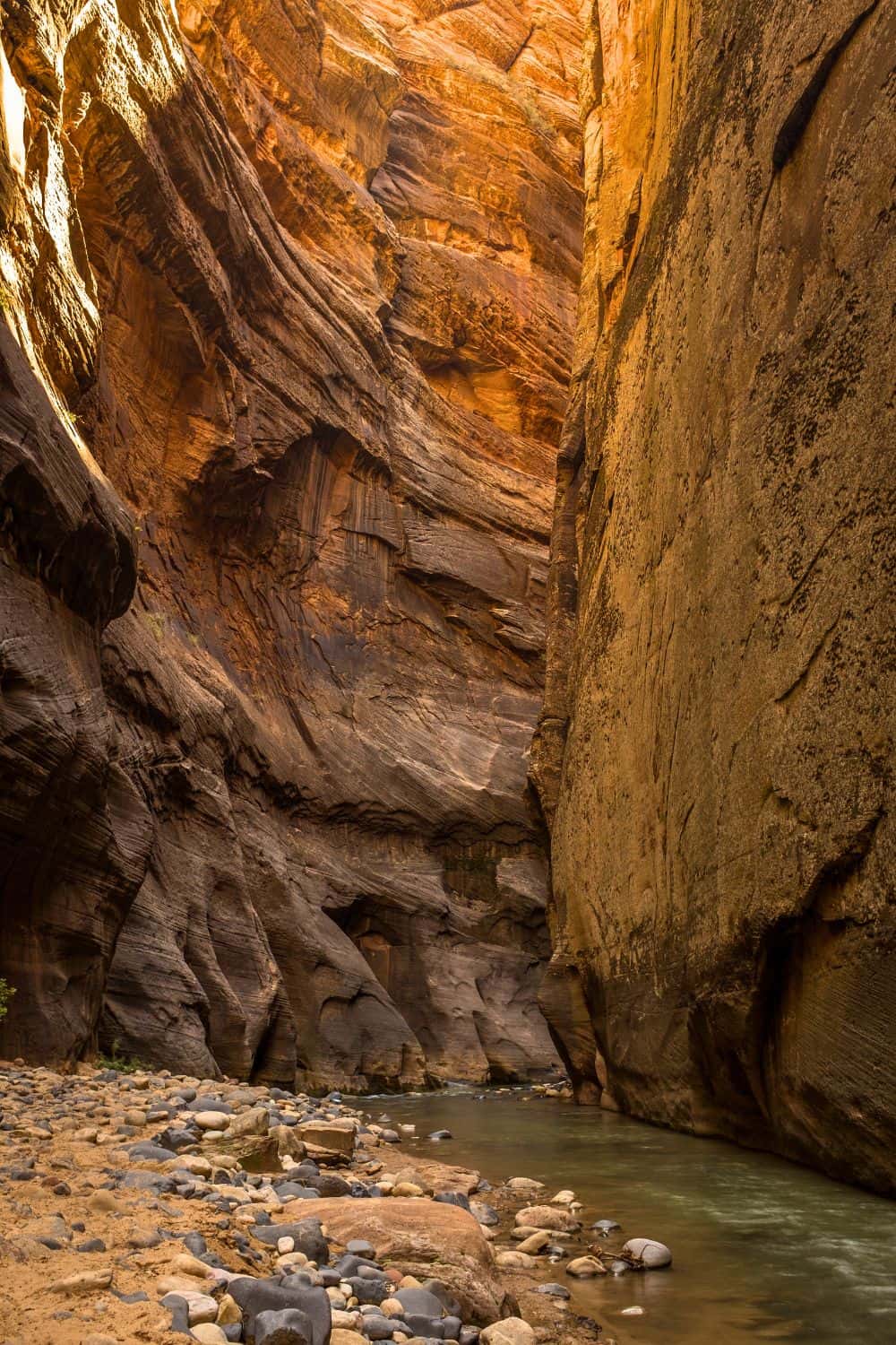 Tips for Hiking The Narrows