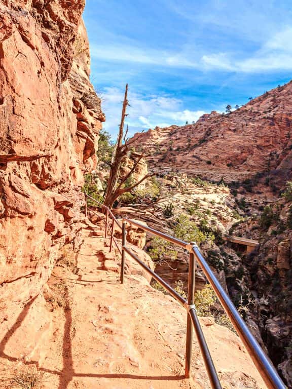 Observation Point Trail in Zion