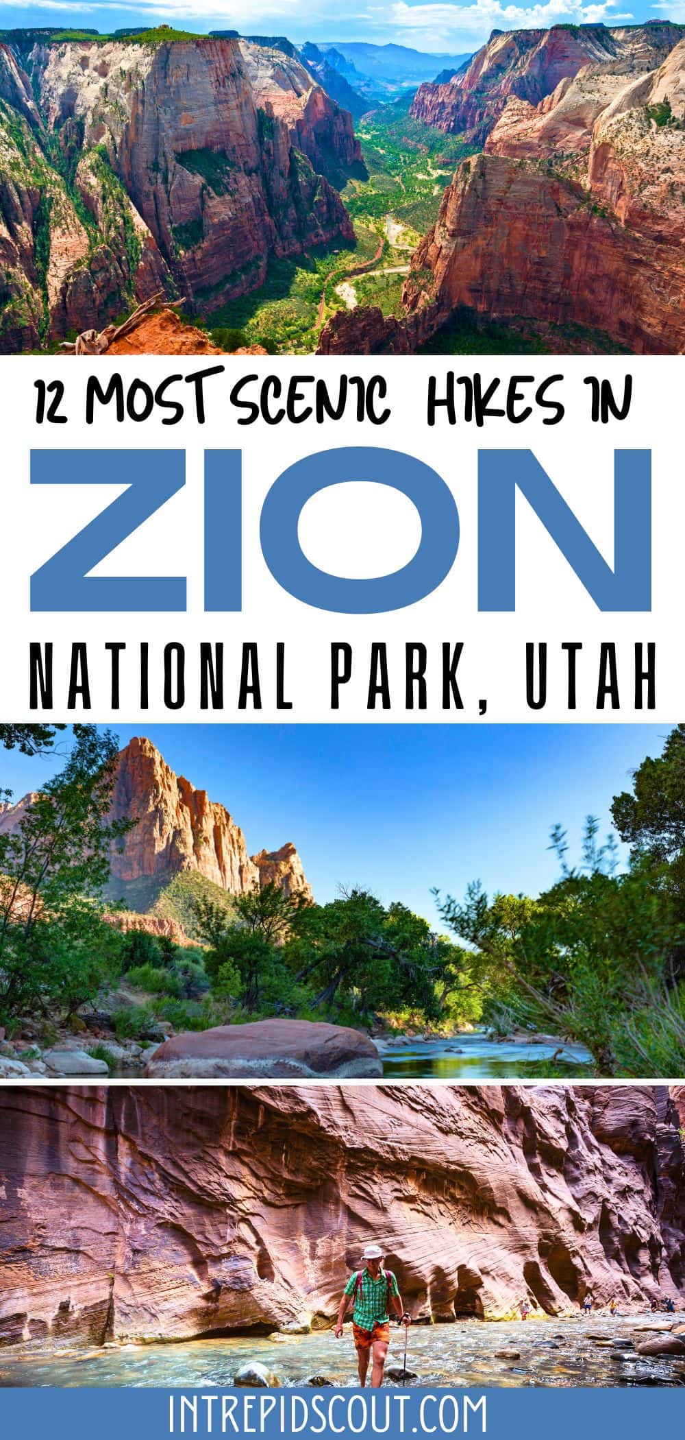 Scenic Hikes in Zion
