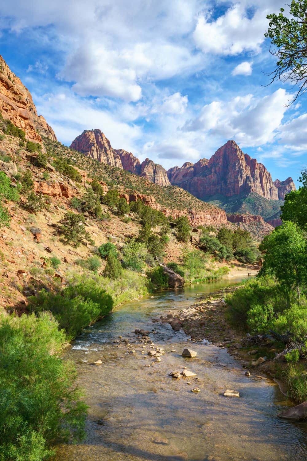 Watchman Trail