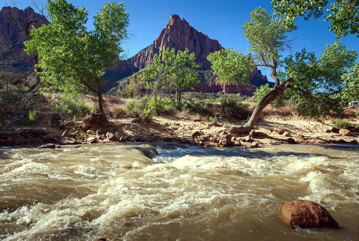 Watchman Trail in Zion