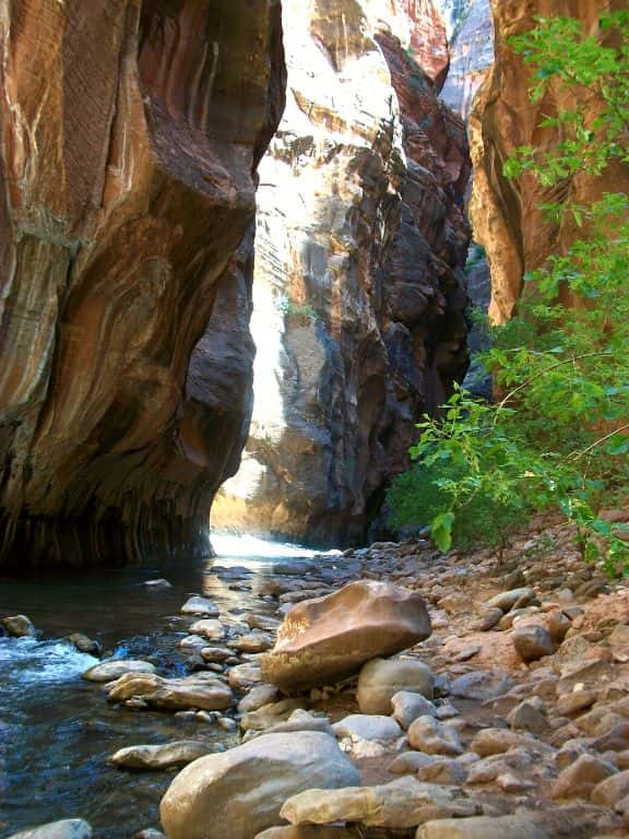 Road Trip Through Utah National Parks Zion Narrows