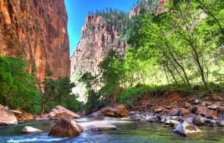 Easy Hikes in Zion.