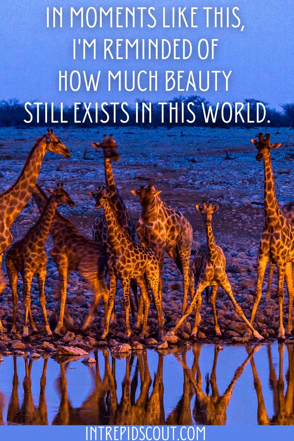Golden Hour Captions and Quotes Golden Hour Captions and Quotes
