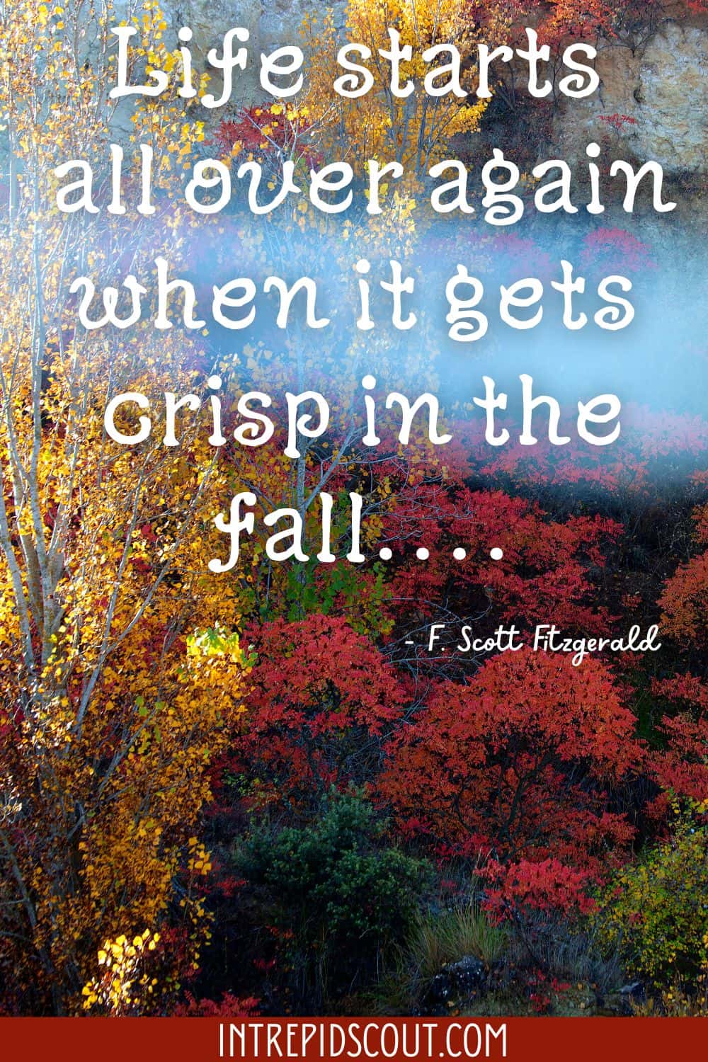 Autumn Captions and Quotes