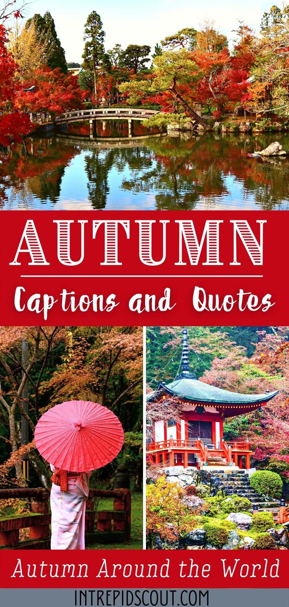 Autumn Captions and Quotes