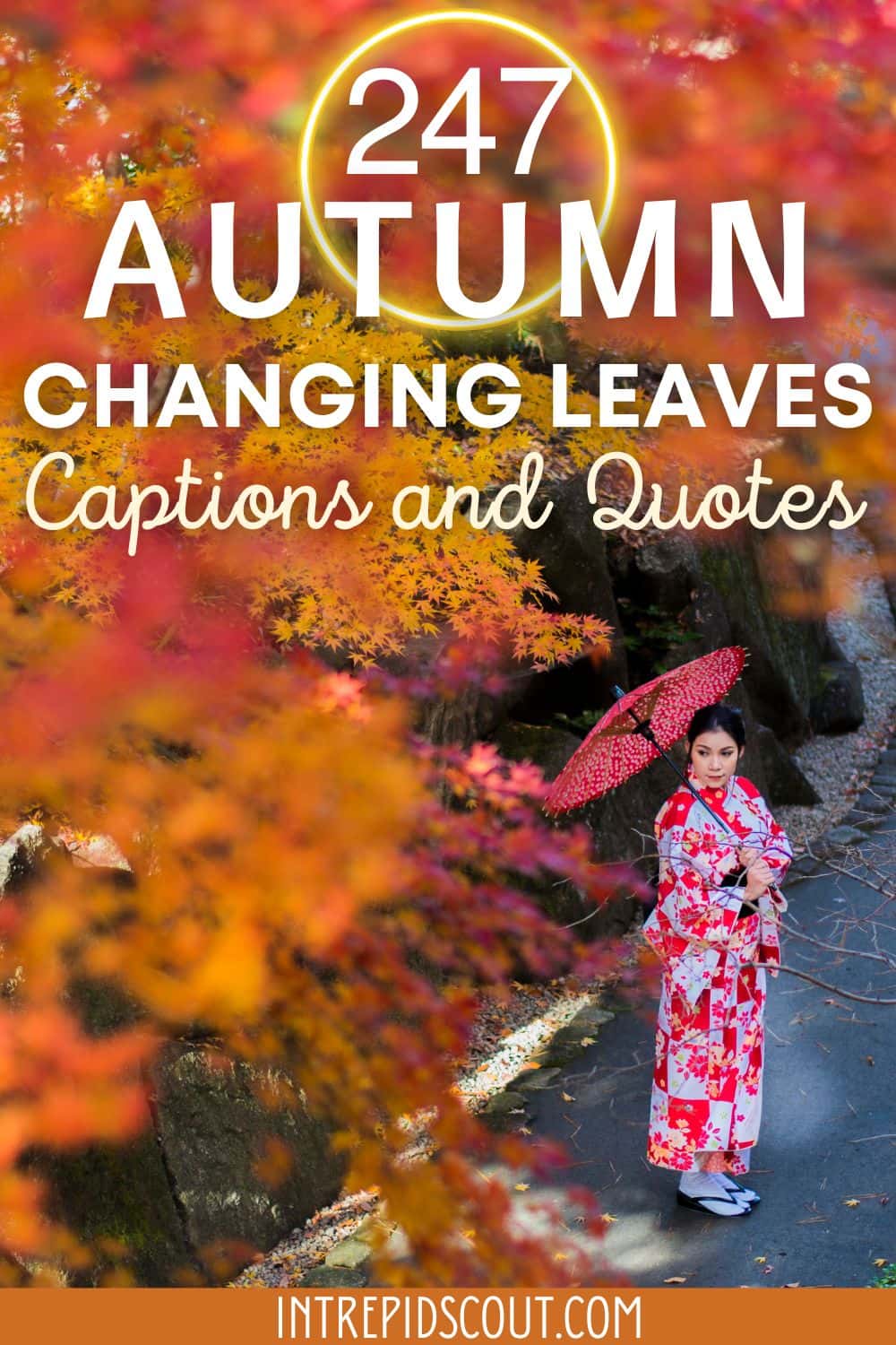 Autumn Changing Leaves Captions and Quotes
