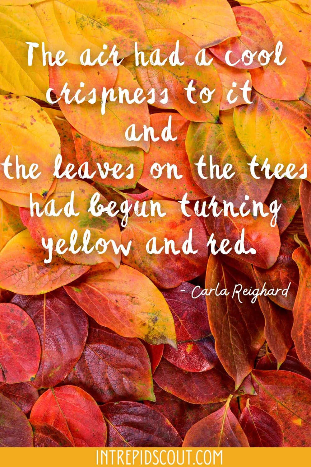 Changing Leaves Captions and Quotes