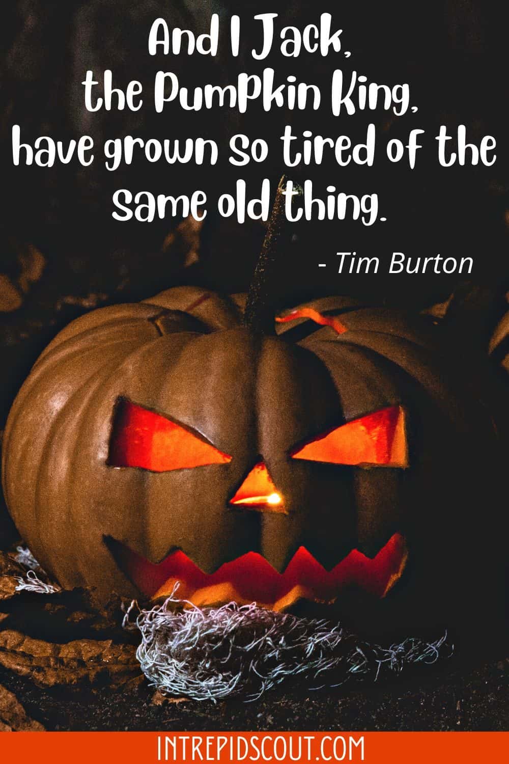 Jack-o'-lantern Captions and Quotes