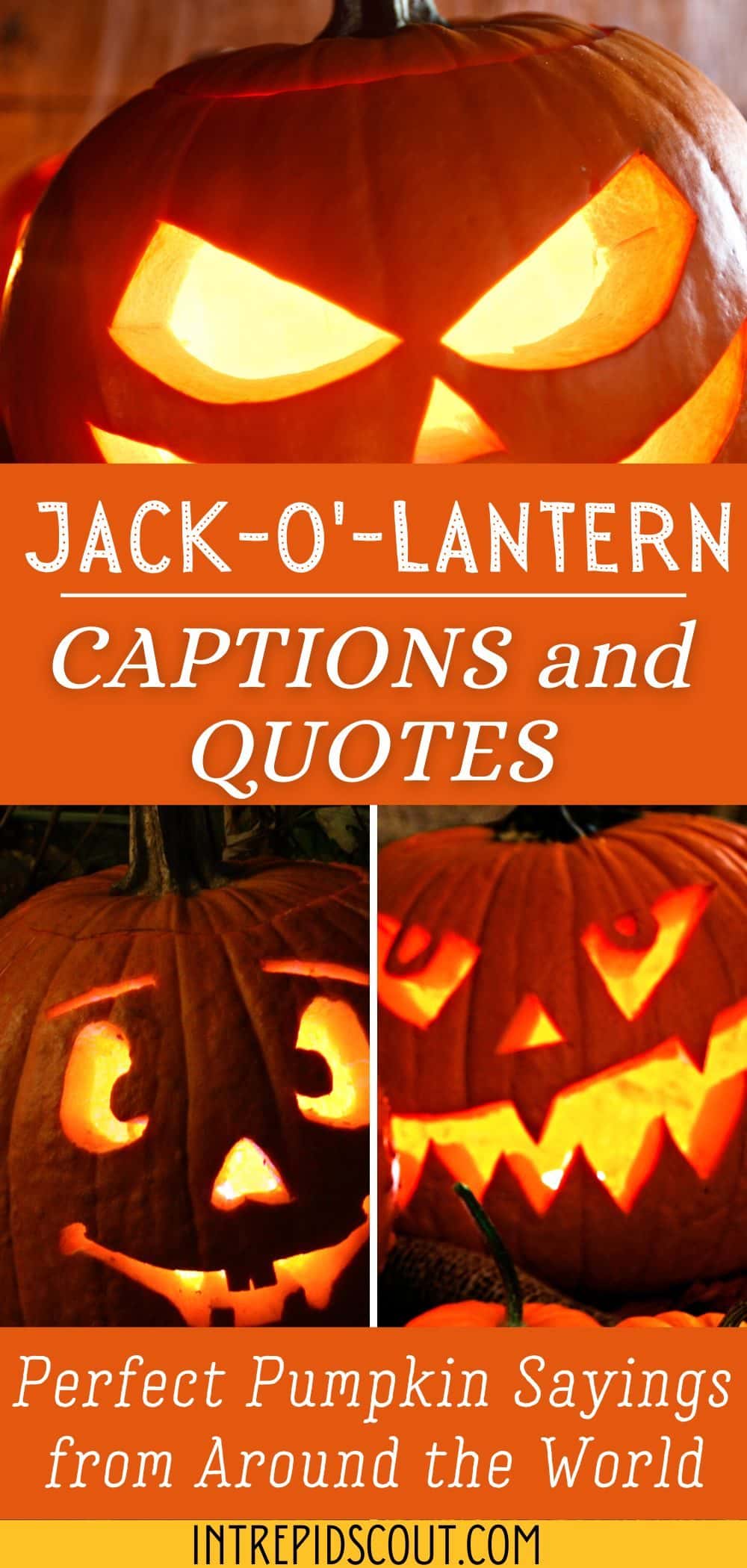 Jack-o'-lantern captions and quotes