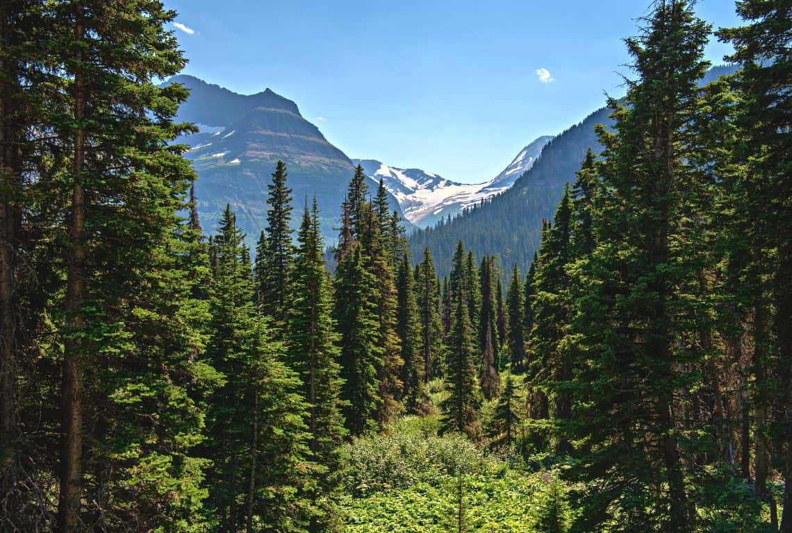 Jackson Glacier Overlook on Going-to-the-Sun Road