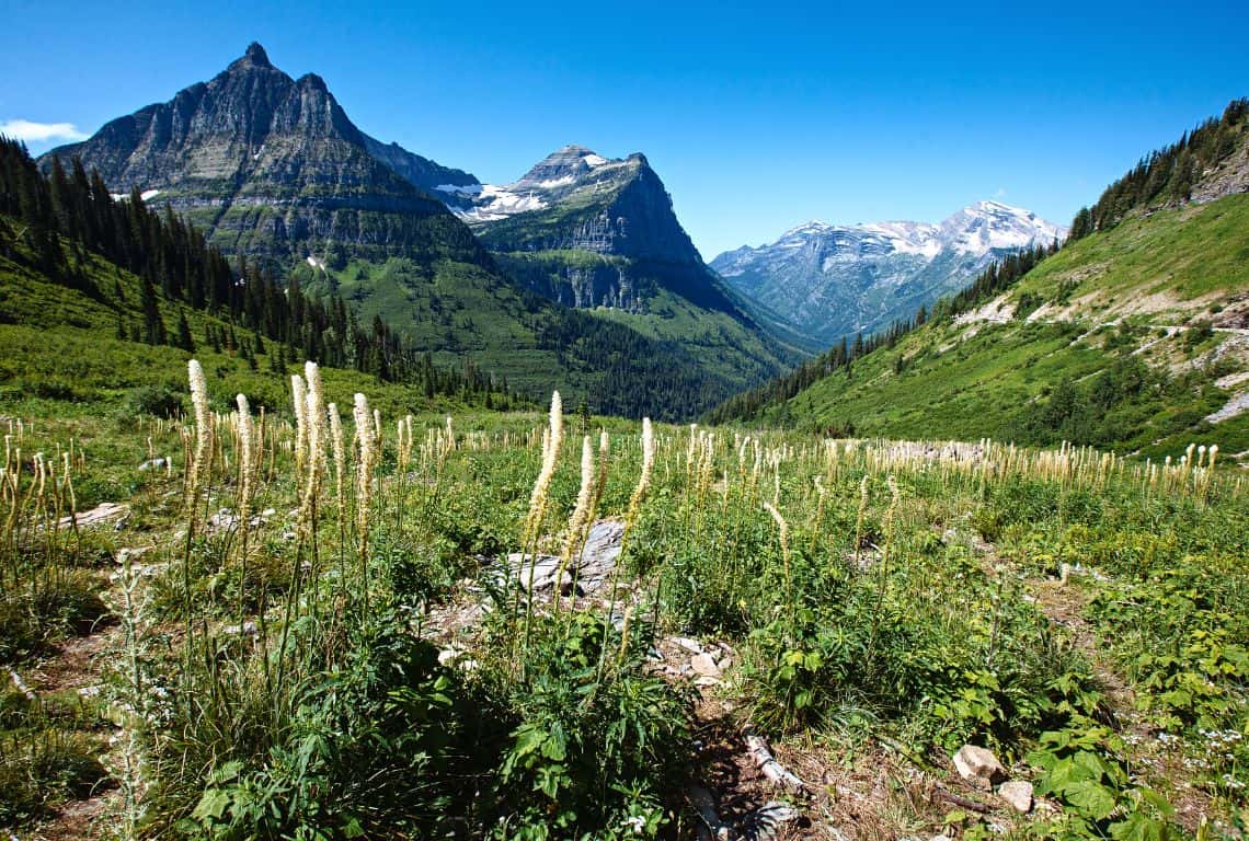 Best Stops on Going-to-the-Sun Road