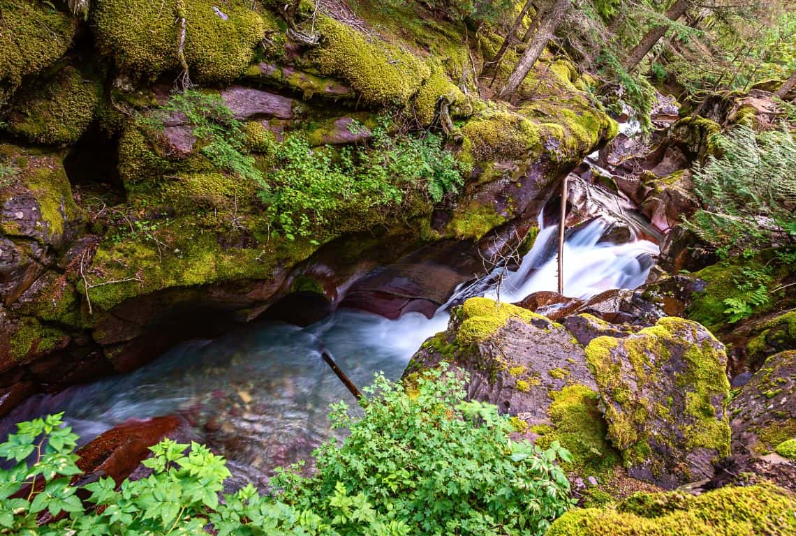 Trail of the Cedars