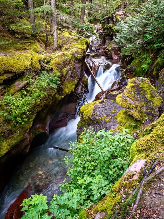 Trail of the Cedars in Glacier