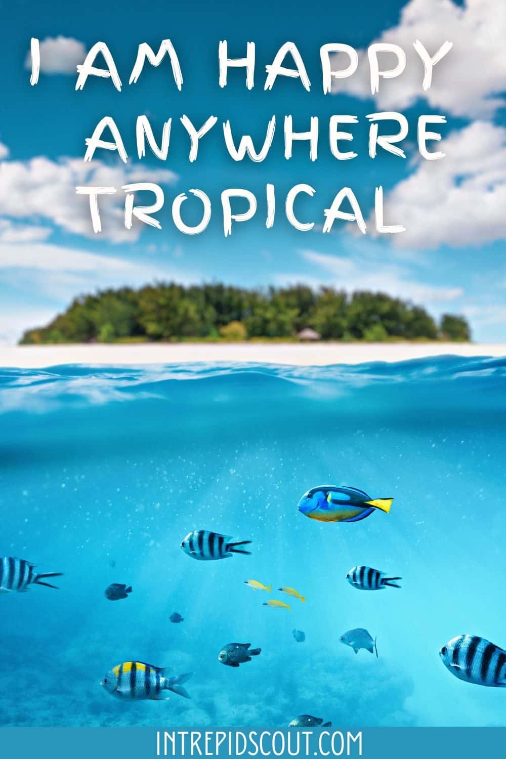 Tropical Vacation Captions and Quotes