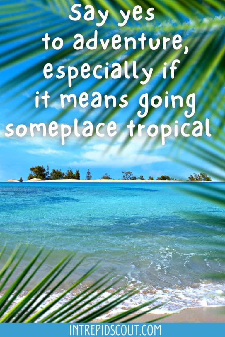 299 Gorgeous Tropical Vacation Captions and Quotes (Escape to Paradise ...