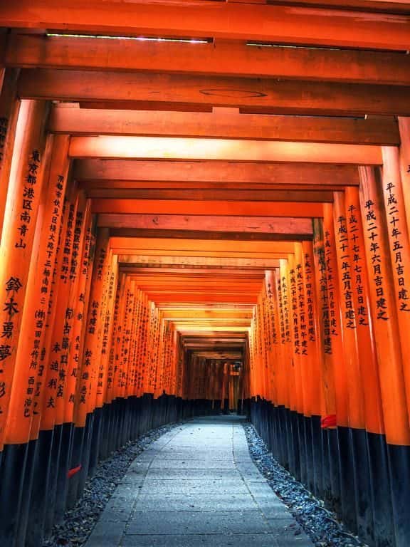 Day Trips from Kyoto