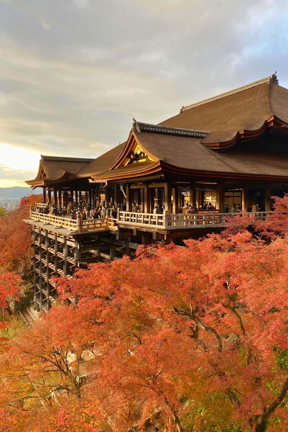 Tips for First-Time Visitors to Kyoto