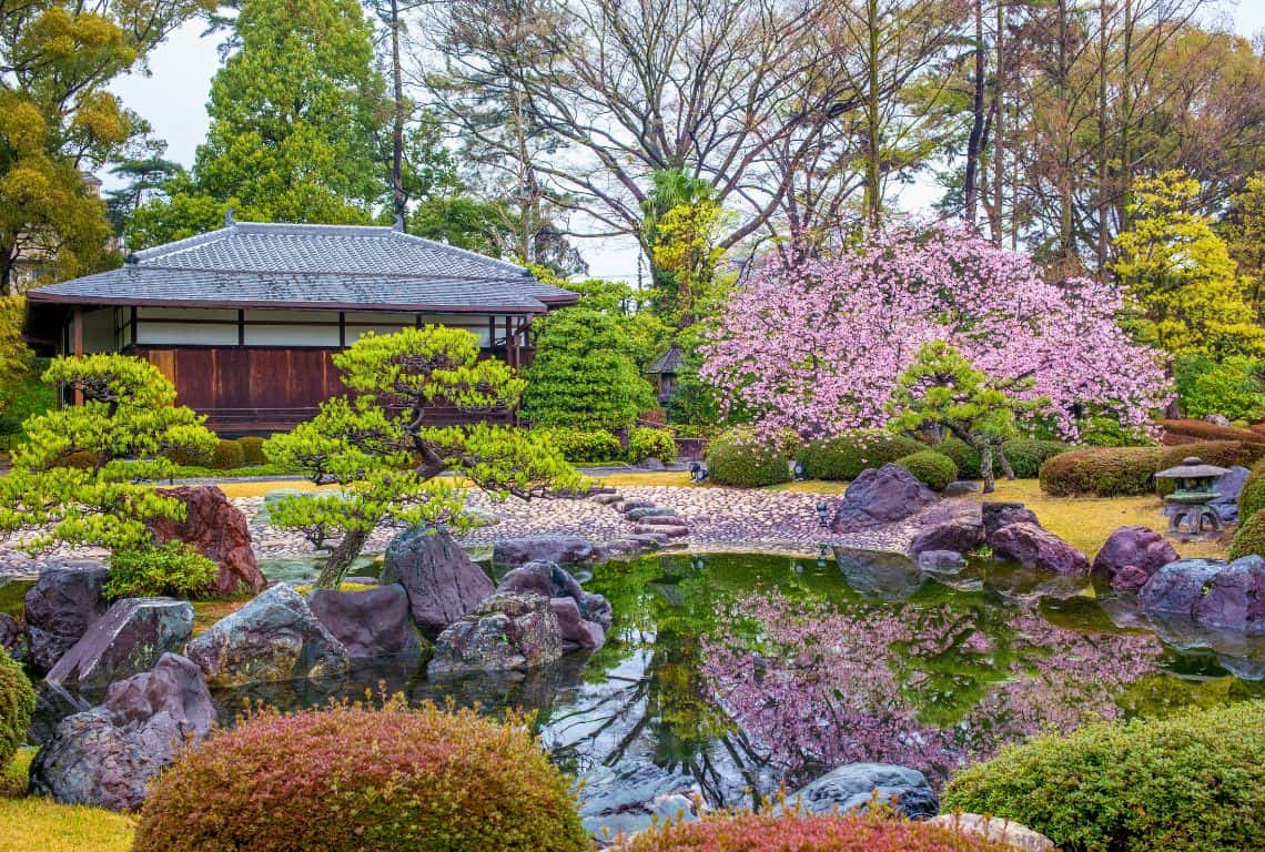 Tips for First-Time Visitors to Kyoto