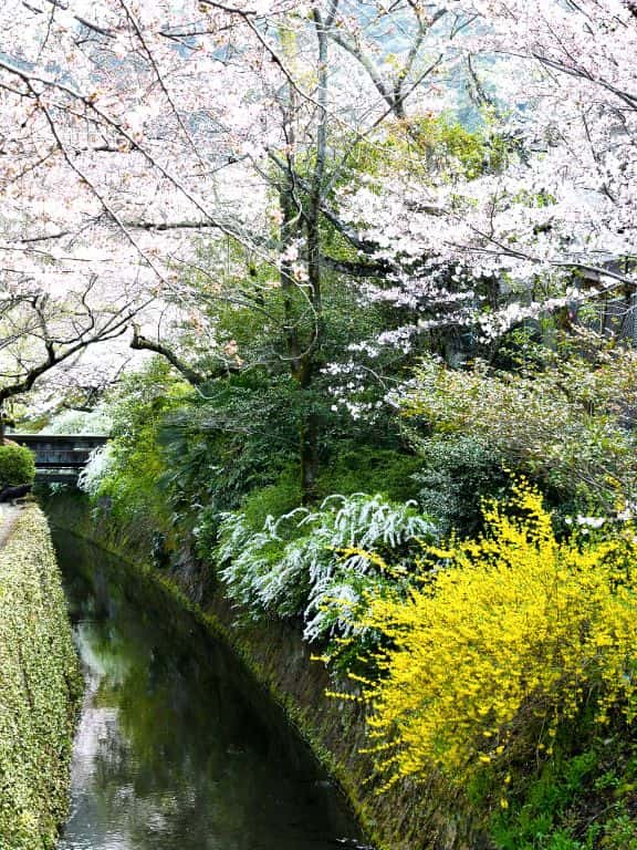 Philosopher's Path is Kyoto