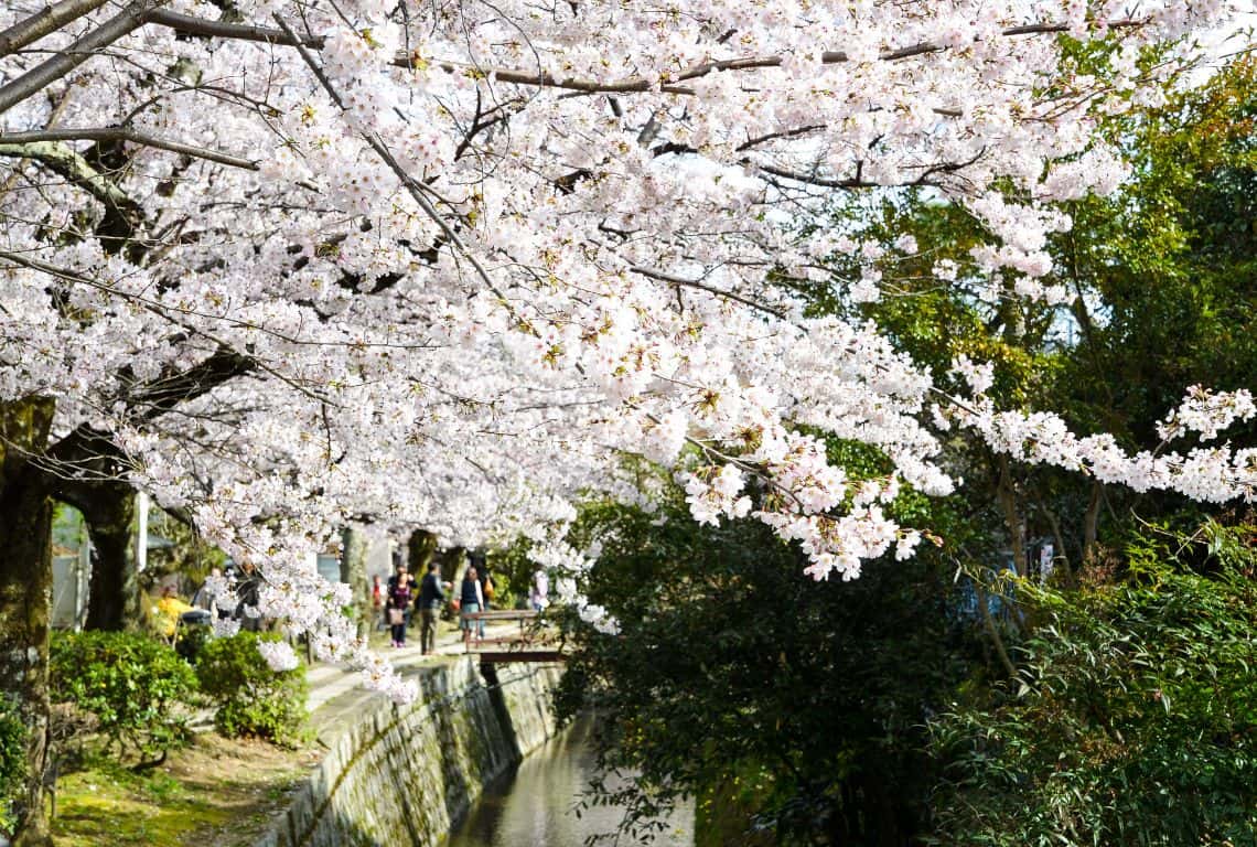 First Visit to Kyoto Philosopher's Path in Kyoto