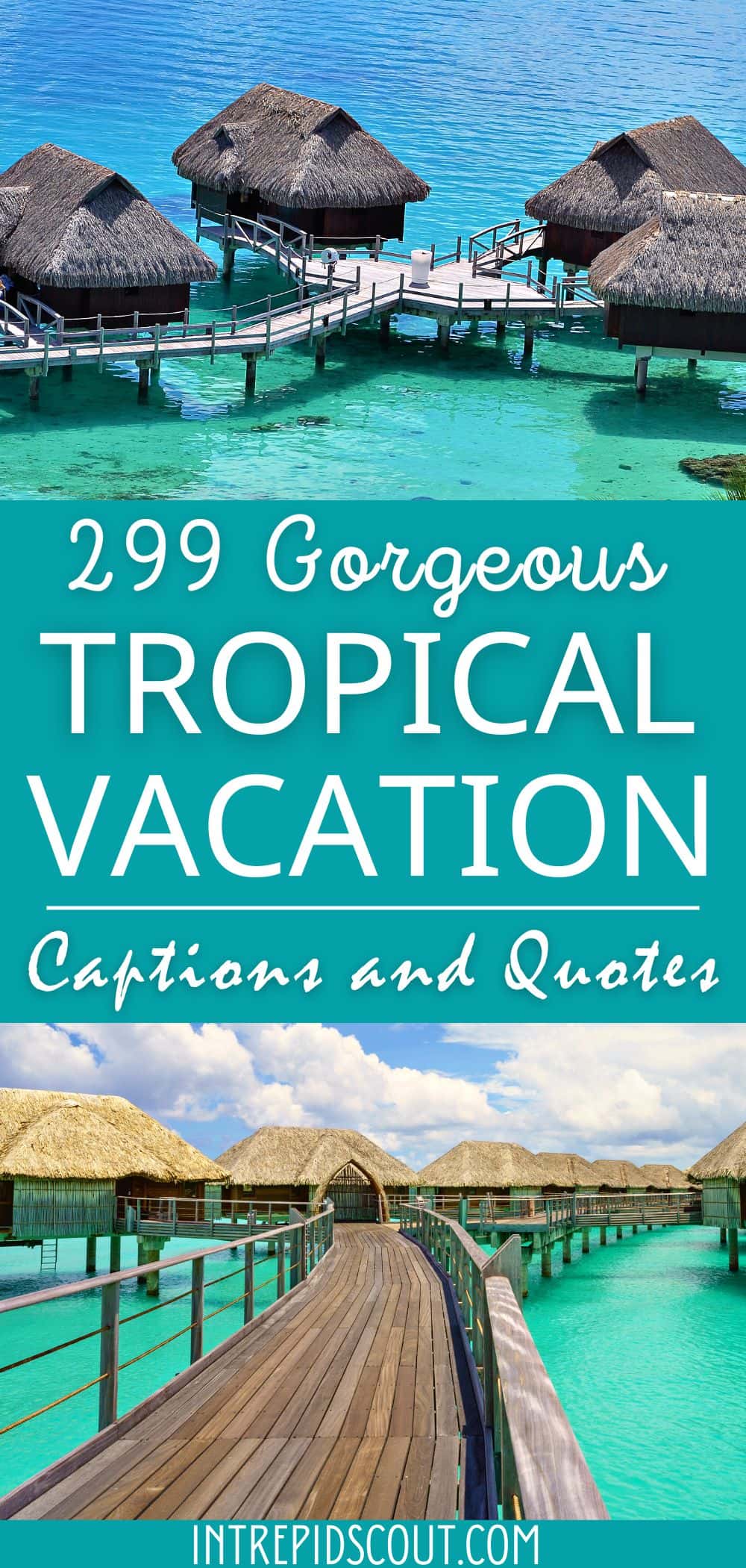 Tropical Vacation Captions and Quotes