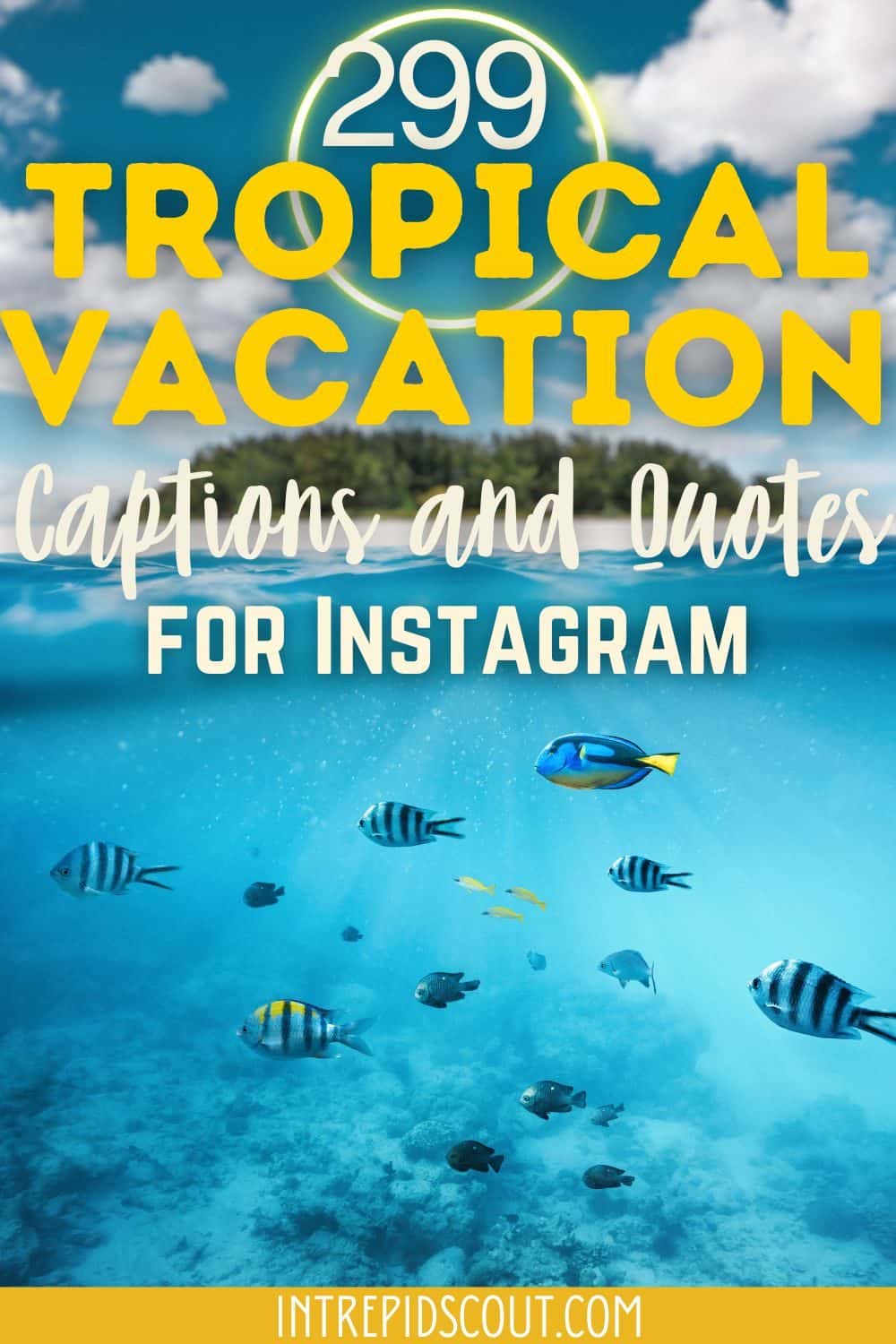 Tropical Vacation Captions and Quotes