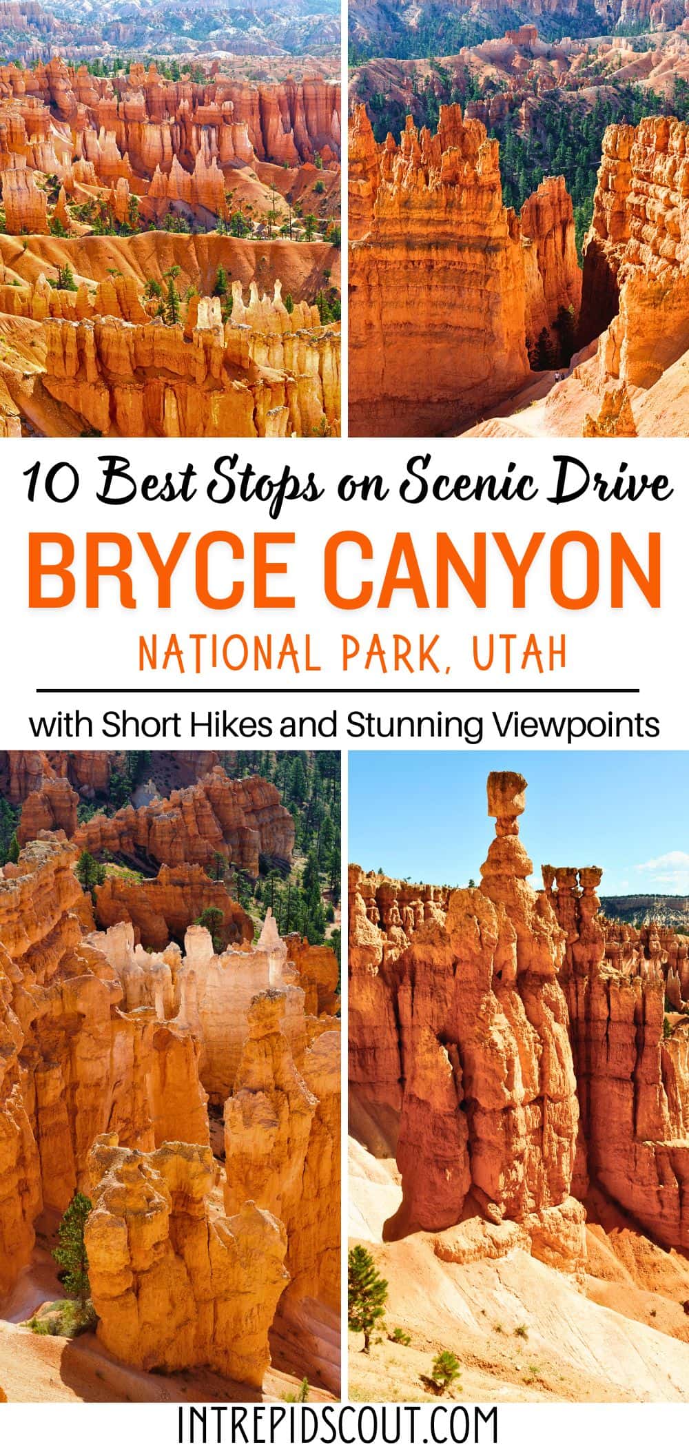 Best Stops on Bryce Canyon Scenic Drive
