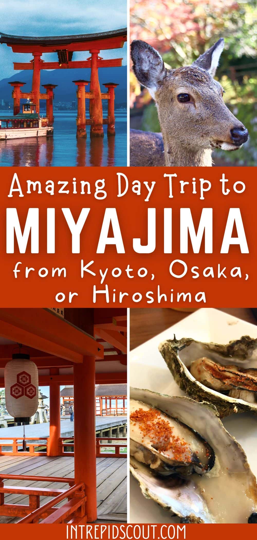 Day Trip to Miyajima from Kyoto, Osaka, or Hiroshima