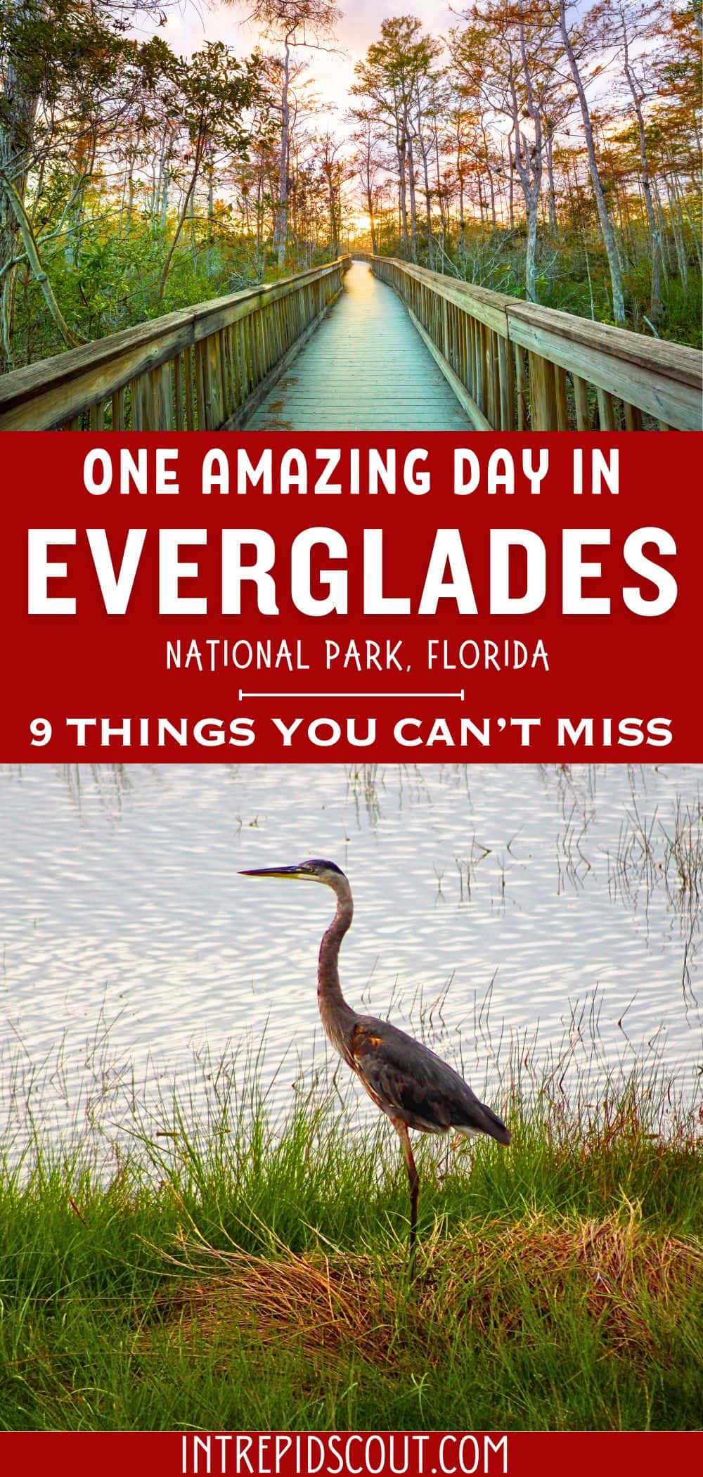 One Day in Everglades