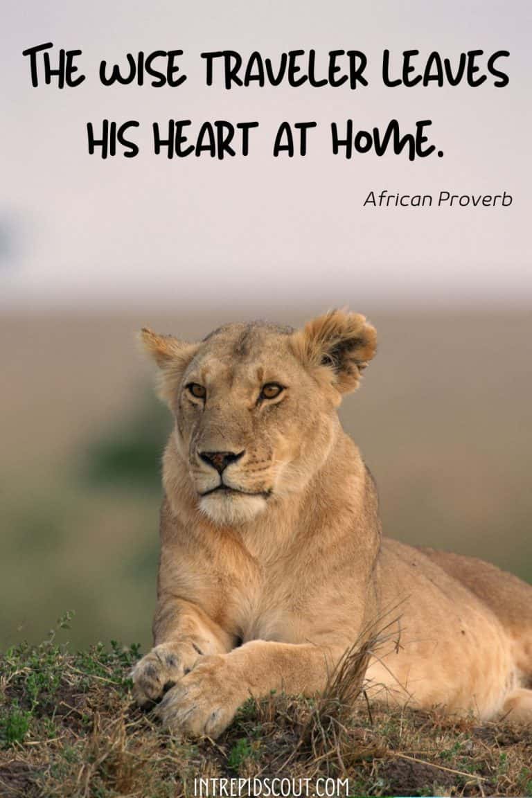 223 Sharp-Witted PROVERBS About TRAVEL (Collected From Around the World ...