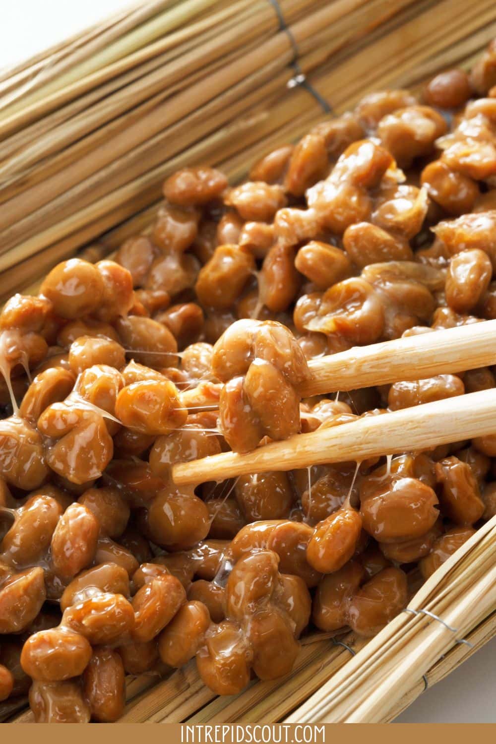 Natto