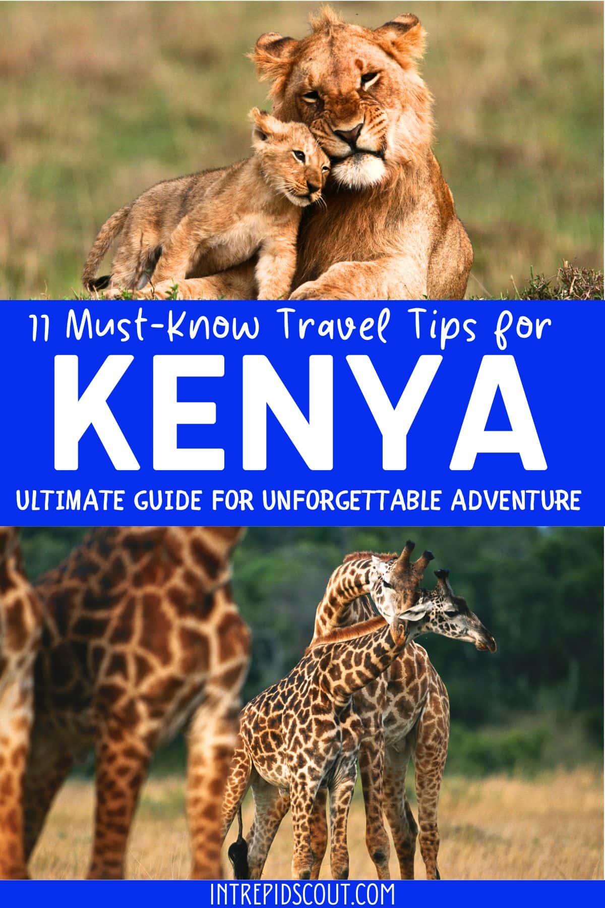 Kenya Tips for First-Time Visitors