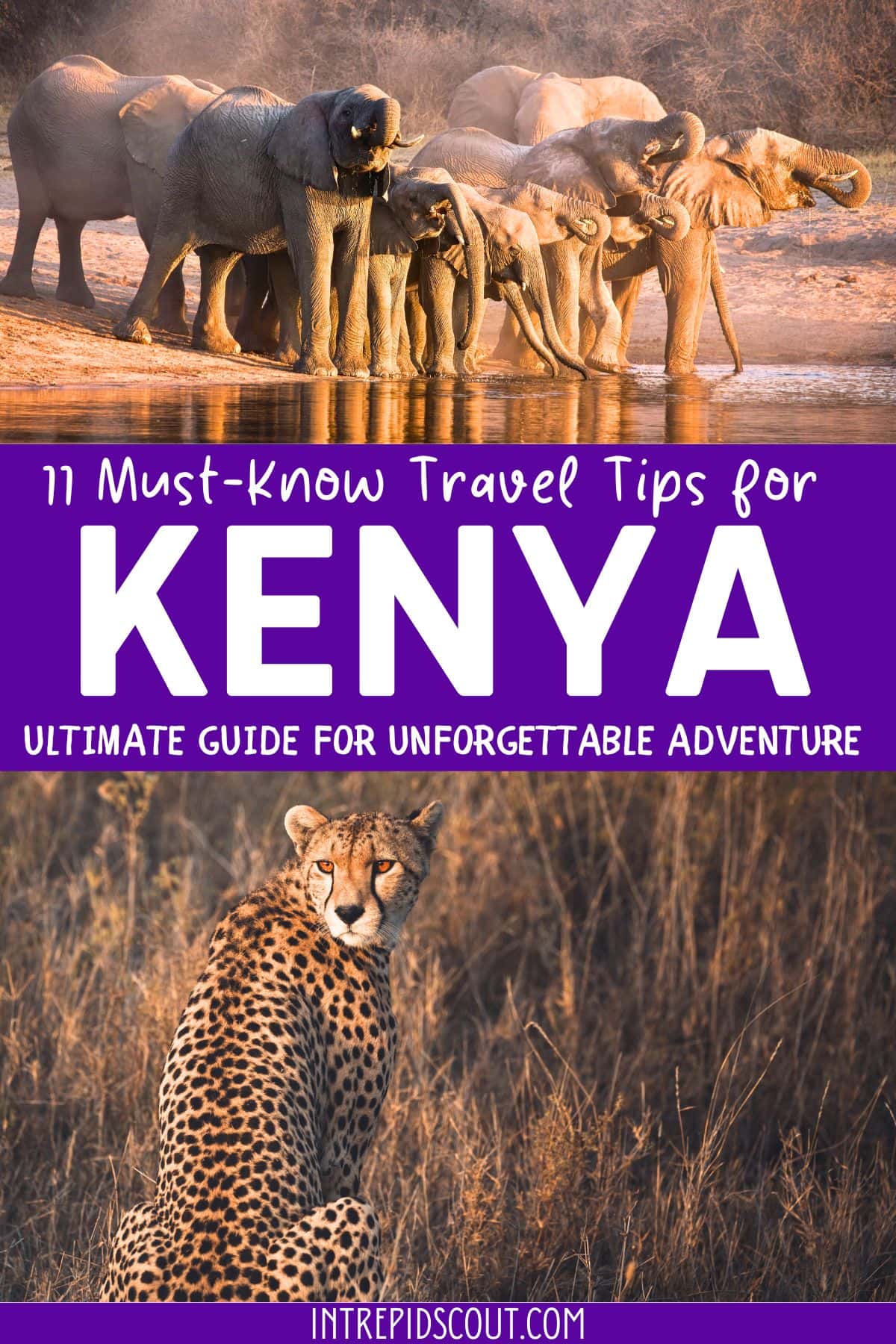 Kenya Tips for First-Time Visitors