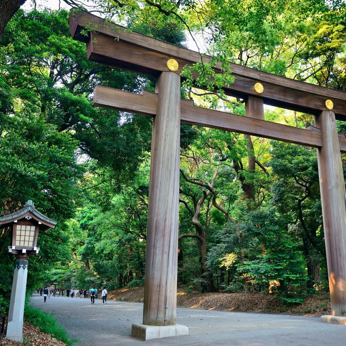 3 Days in Tokyo Torii Gate at Meiji Shrine