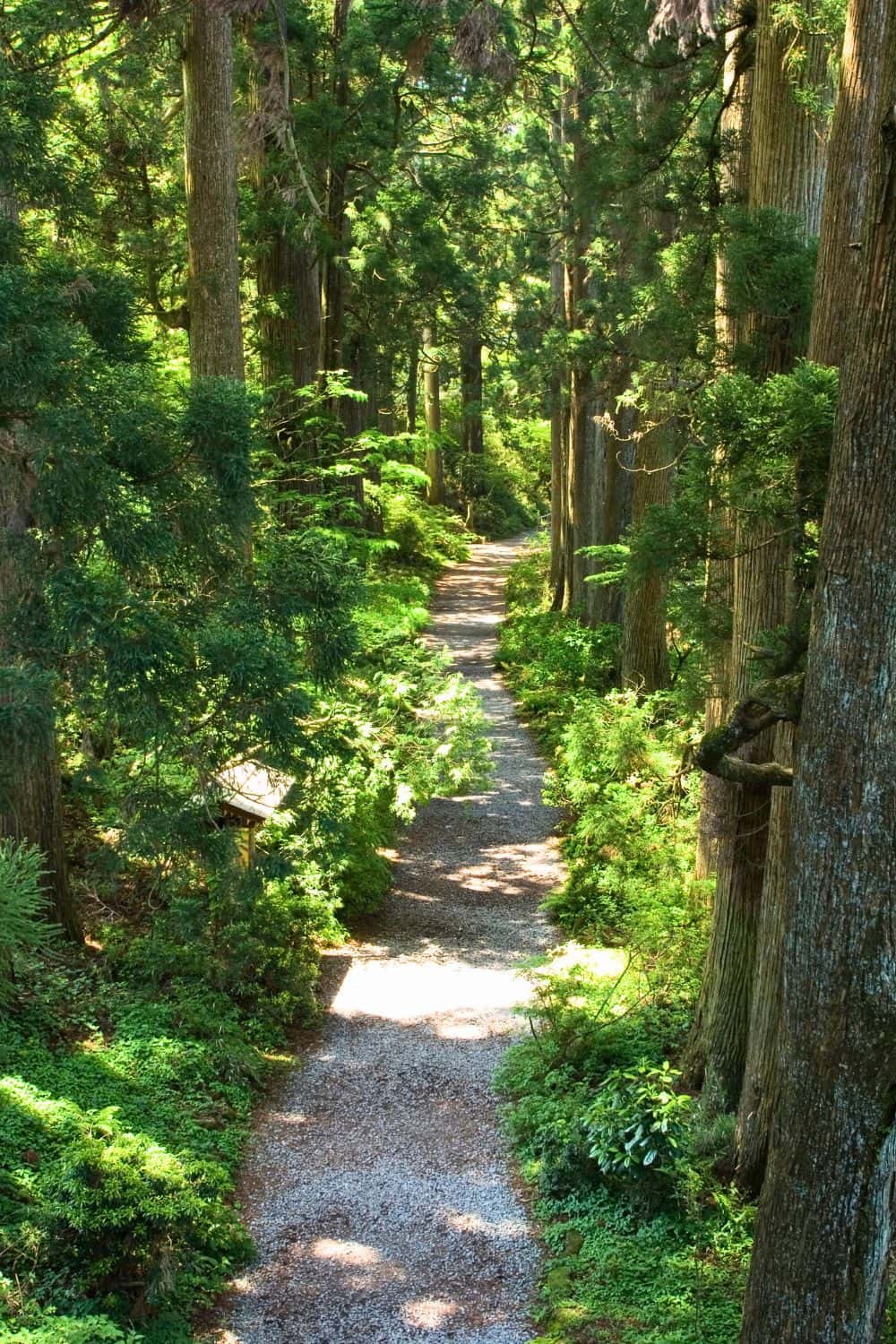 Hakone