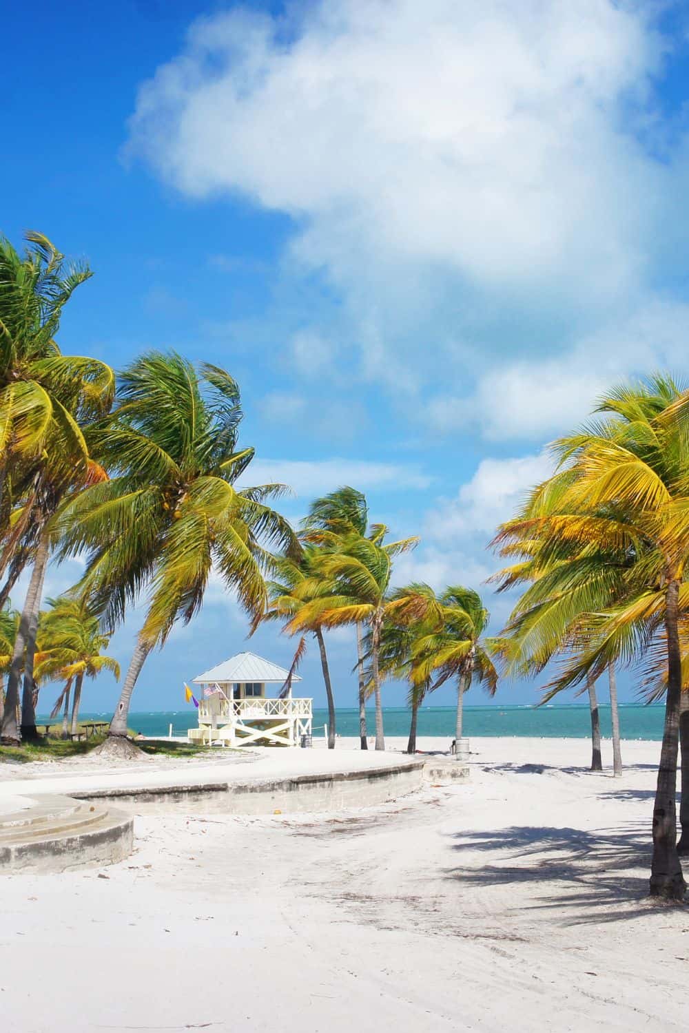 Miami Tips for First-Time Visitors Crandon Park