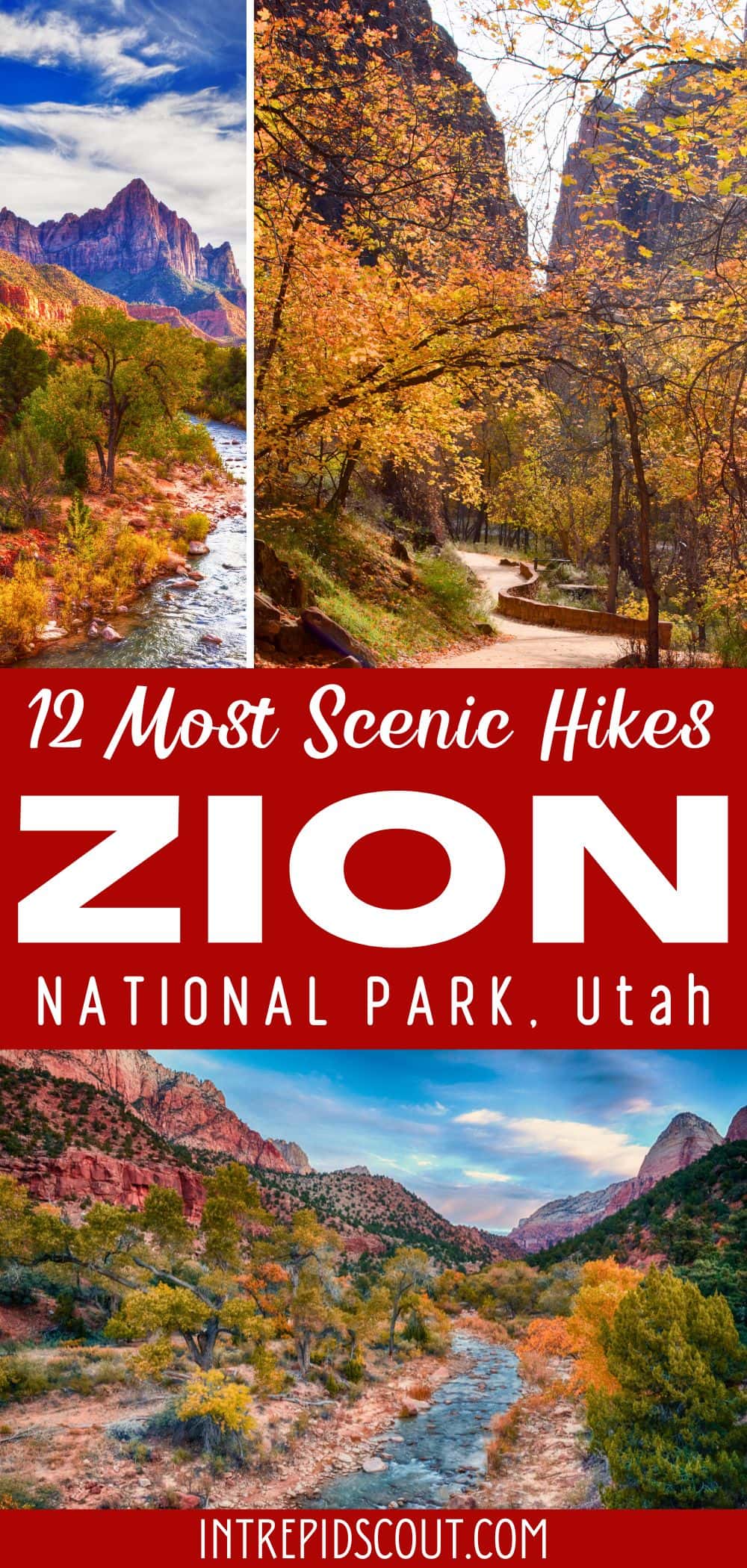 Scenic hikes in Zion