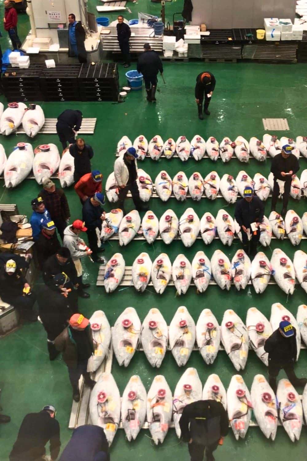 Toyasu Market in Tokyo