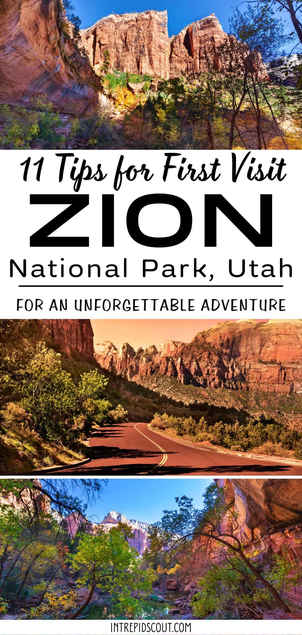 Tips for First Visit to Zion